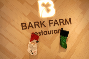 101119 b4 RIMG4183.jpg